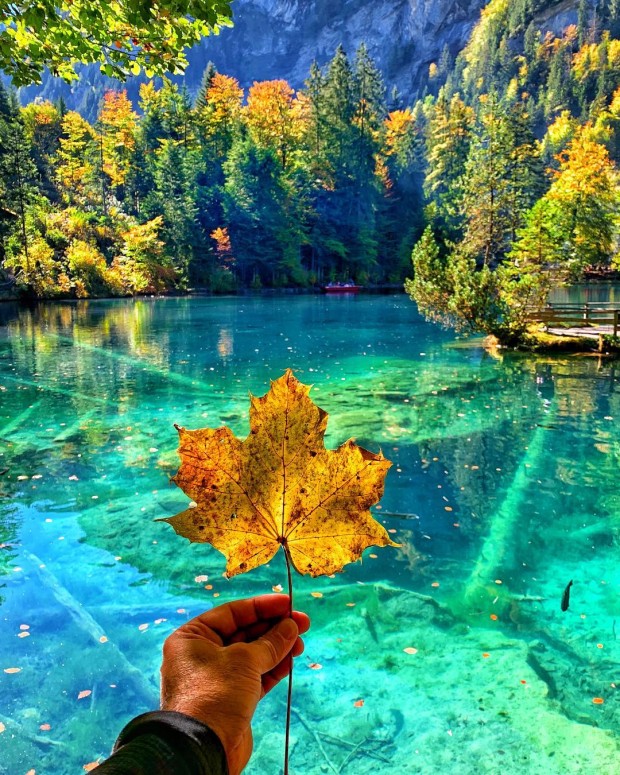 Blausee Lake - Switzerland