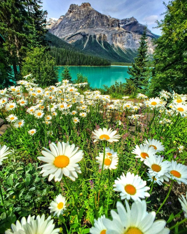 Emerald Lake - Yoho National Park - British Columbia - Canada