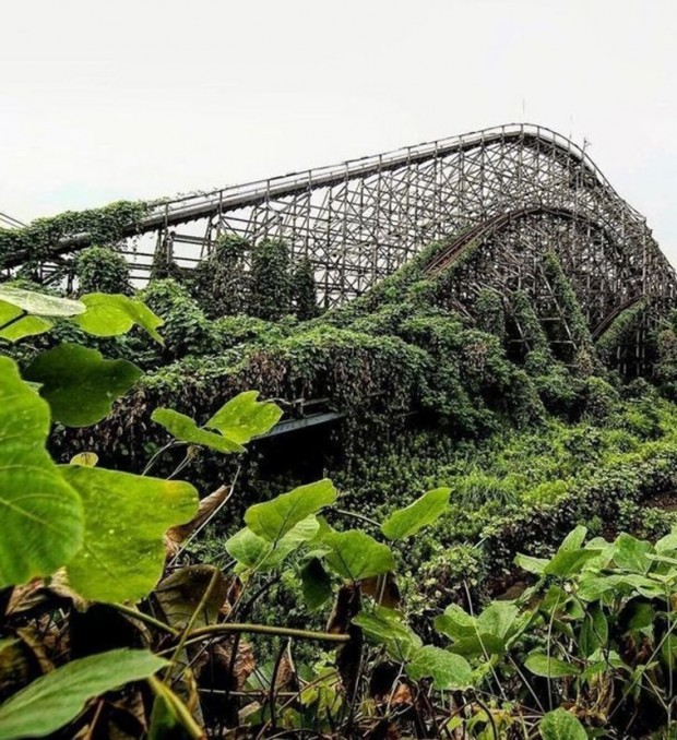 7. The abandoned roller coaster was touched by nature, and the perfect result came.
