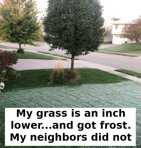 34- Be careful how much you shorten your grass!