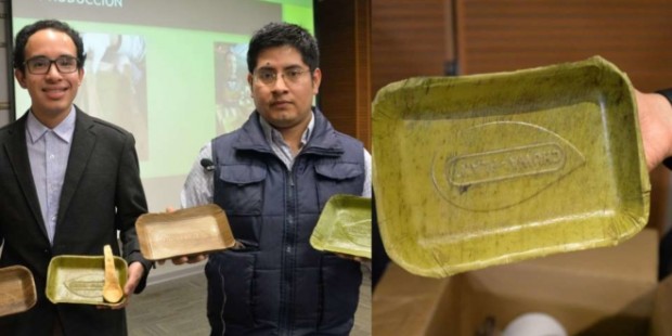 In this direction, this young group of Peruvians launched a project of banana leaf plates which might eliminate the plastic plates.