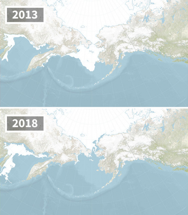 The drastic change in Bering Sea Ice