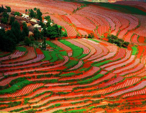 Dongchuan Red Land, China