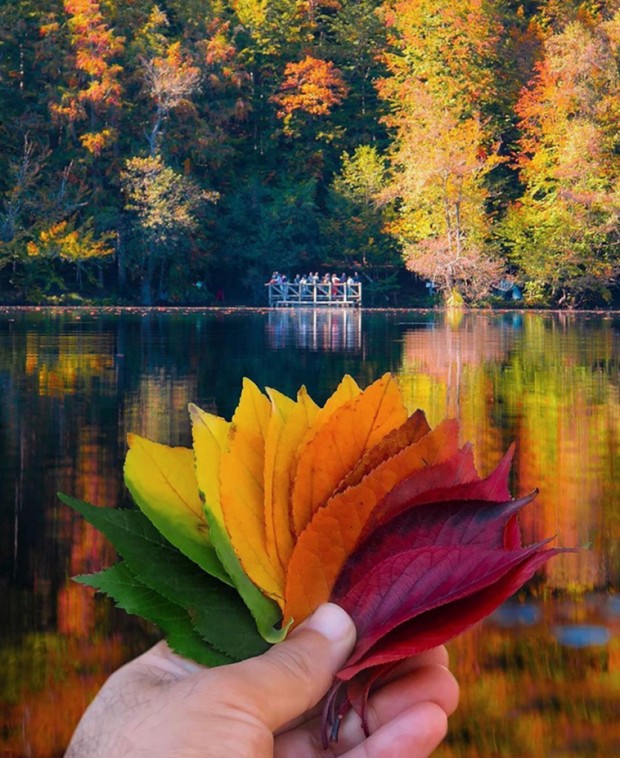 3. Autumn colors in Bolu, Turkey