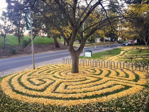 4. Maze made of fallen leaves, Sacramento, US
