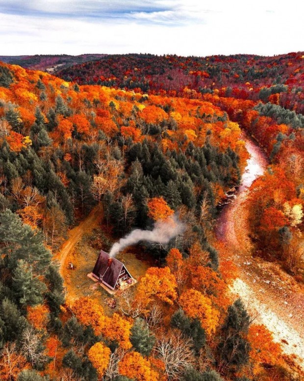 9. Orange forests of Massachusetts, US in the fall